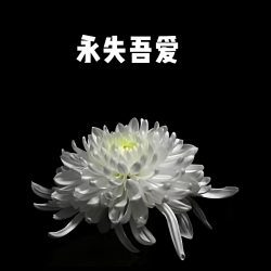 永失吾爱 张女士千古