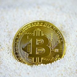 当日+41.89% 埋伏中标
